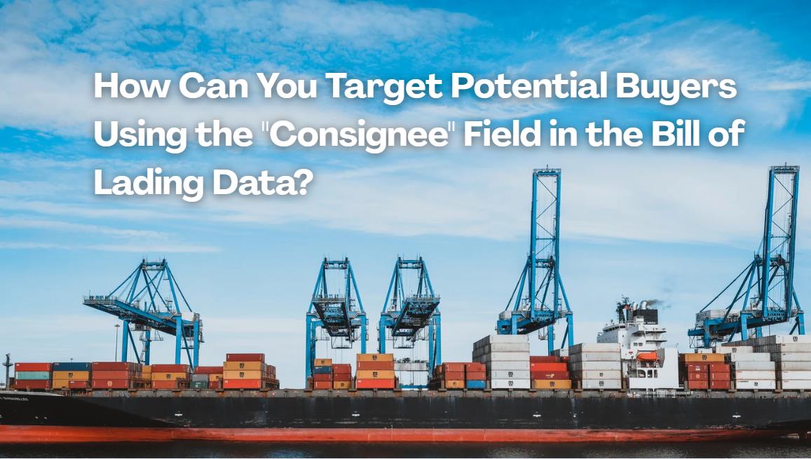 The Hidden Goldmine in Shipping Documents-trademagellan